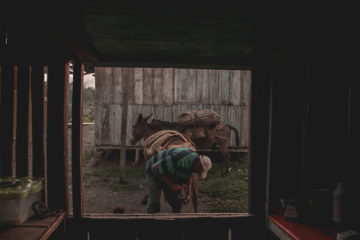 Santa María de Urábara